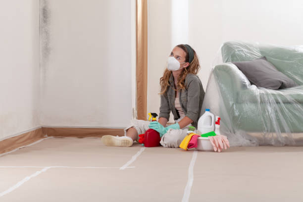 Reliable Black Mold Removal contractor in Franklin Park, PA by WQB Mold Removal